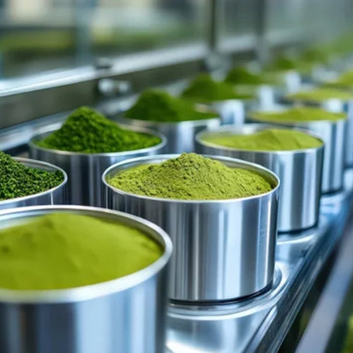 Bright green matcha tea powder – wholesale matcha distributor in Canada