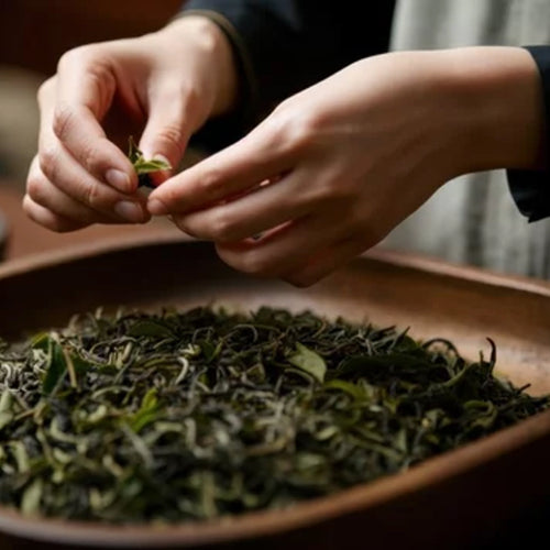 Hands holding a small leaf over a wooden tray with tea leaves